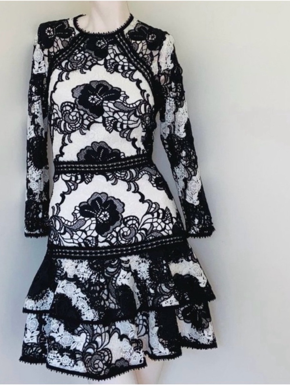 Alexis Black and White Lace Mini Dress